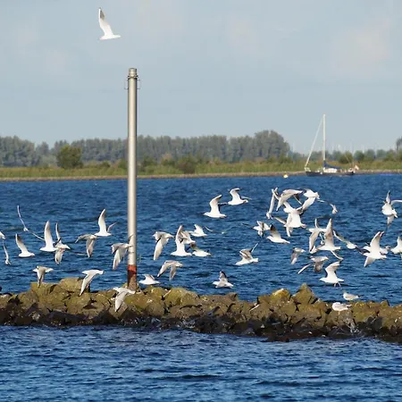Bed & Breakfast Logeren Bij De Burgemeester