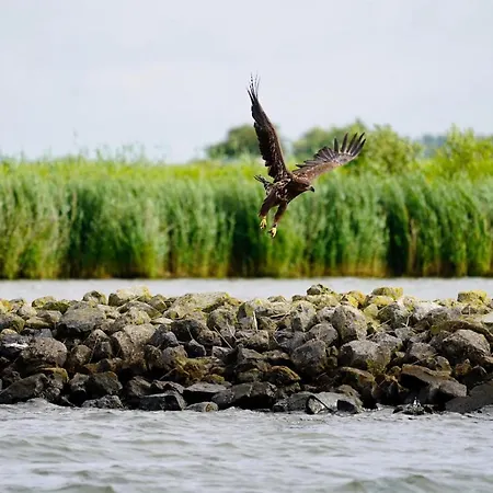 Logeren Bij De Burgemeester Nocleg ze śniadaniem