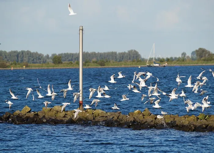 فندق مبيت وإفطار Logeren Bij De Burgemeester