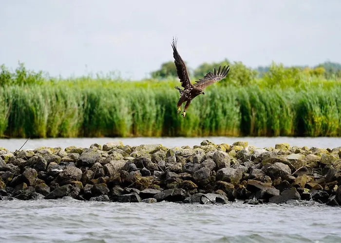 Logeren Bij De Burgemeester فندق مبيت وإفطار